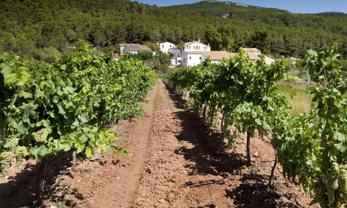 L'Avella Apartment | Finca Can Romeu: Alojamiento Rural Entre Viñedos