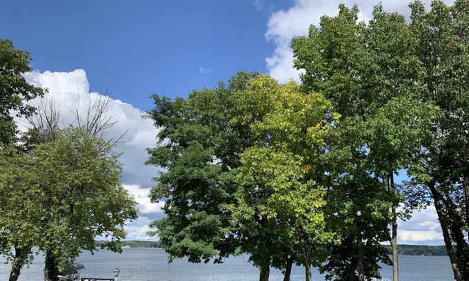 Auburn House | FingerLakes Home close to everything!