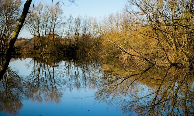 Dilton Marsh Apartment | Fishing Break- Woodland Hut- Brambling