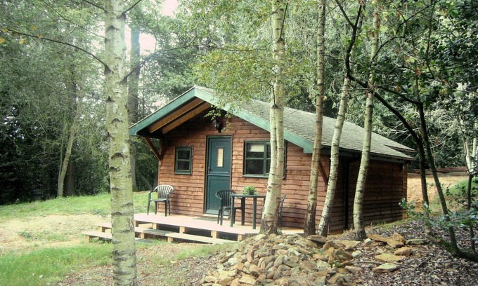 Chilworth Cabin | Five Pines - peaceful & secluded woodland cabin in Surrey Hills