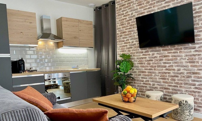 Romorantin-Lanthenay Apartment | Fleur de Lys Downtown, Castles and Beauval