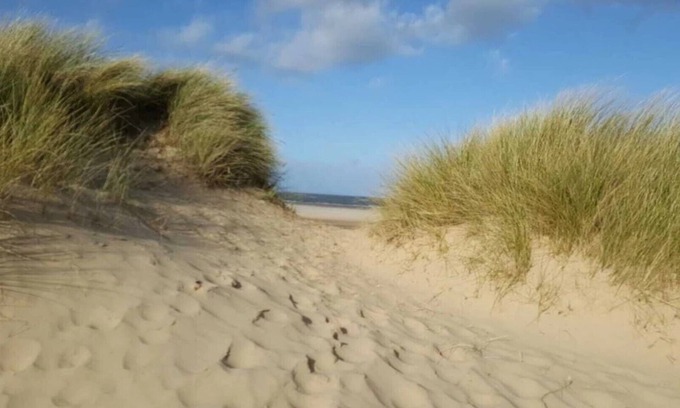 King's Lynn Cottage | Flint Cottage - a charming home and dog friendly!