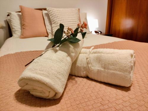 Medina De Pomar Apartment | Flor de Lis