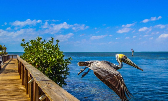 Anglers Park Apartment | Florida Bay Club