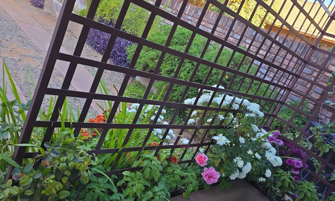 Kathu House | Flower Lane Guesthouse