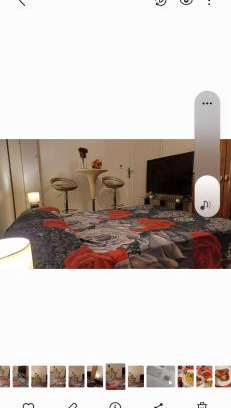 Saint-Sylvestre House | Force