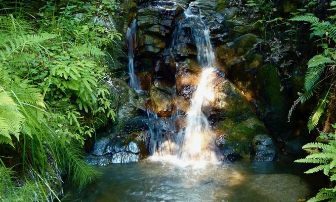 Carmel Cottage | Forest Cottage in Big Sur w/Private Hiking & Hot Tub