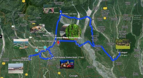 Siliguri House | Forest View Homestay