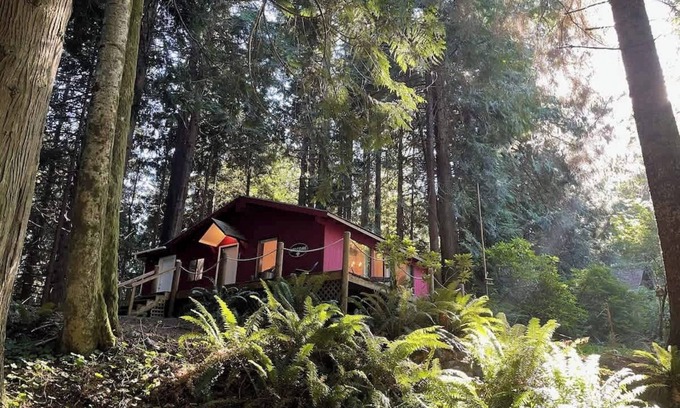Port Angeles Cabin | Forested Cottage in the Woods, near Olympic Park