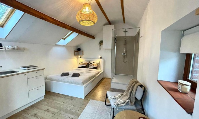 Dolembreux Apartment | Four à pain