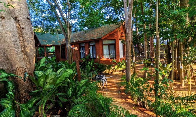 Ixtapa Cabin | Free pet-friendly nice Cabin/Wifi/AC/Kitchen/Grill