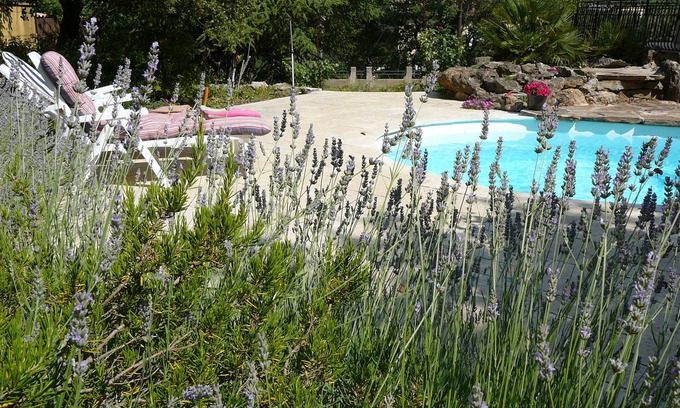 Saint-Maximin-la-Sainte-Baume House | Shed beautiful Provence with pool and garden