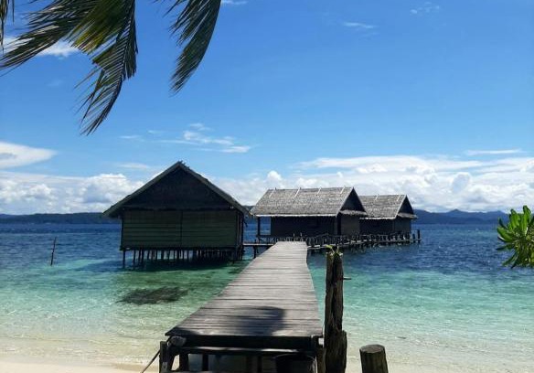 Mansuar Island House | Frances Homestay - Raja Ampat