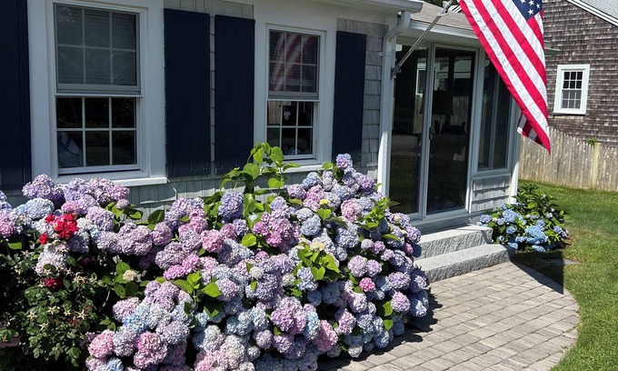 Dennis Port House | Frank's Cozy Cape Cod Beach Cottage