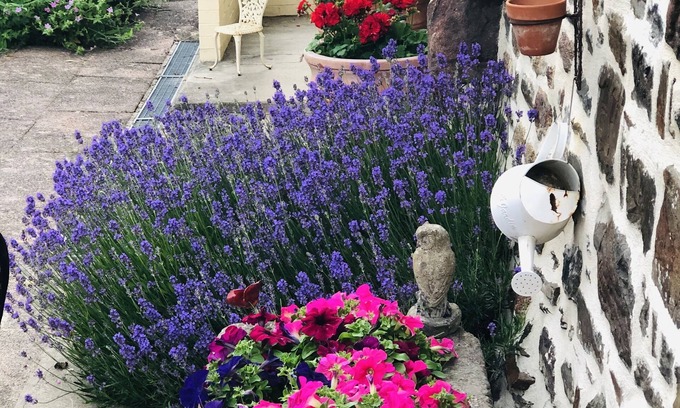 Tinchebray-Bocage Bed & Breakfast | Frenes B & B