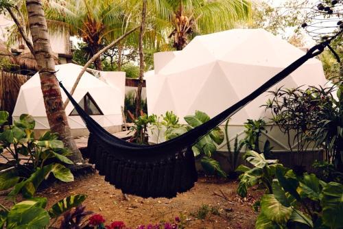Isla Holbox Hotel | Frequency
