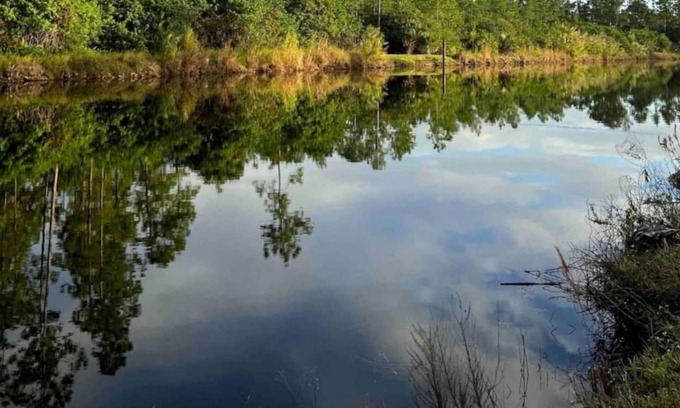 Rural Estates House | Fresh Water Canal Sunset Hide A Way North in Paradise,Naples,Florida