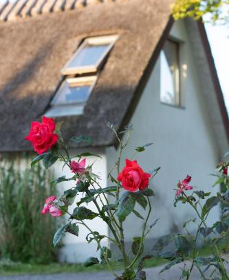 Vaster Bed & Breakfast | Fridfullt boende på lantgård med underbar utsikt