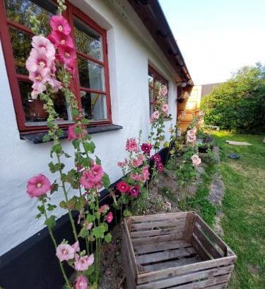 Listarum House | Fridfullt sommarhus mitt på Österlen