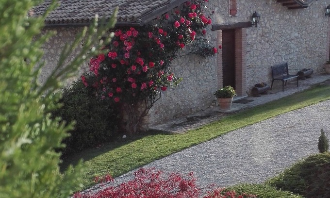 Fassinoro House | From old hay shed to beautiful stone outbuilding