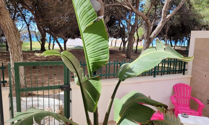 Rivabella Apartment | FRONTE PINETA MARE RIVABELLA