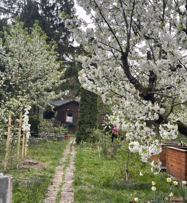 Im Geiger Other | Fußball-Hochburg! Gartenparadies für Campen/Zelten