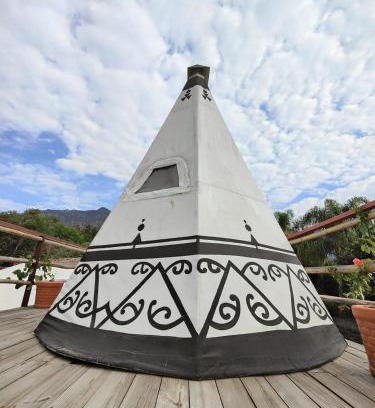 Santo Domingo Other | Fungi Tipis