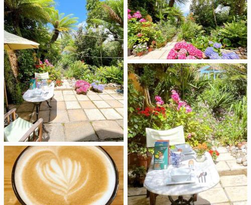Roath Bed & Breakfast | Funky Urban Jungle