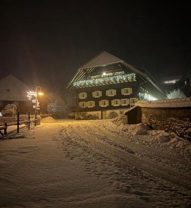 Menzenschwand-Hinterdorf Apartment | Gästehaus Erika