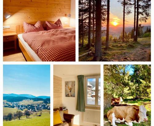 Saig Apartment | Gästehaus Steiert Fewo Kuhbergblick
