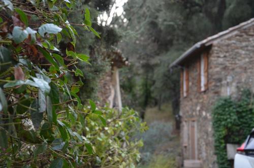 Collobrieres House | Gîte Almanda - Calme & Nature - Mas Lou Castanea
