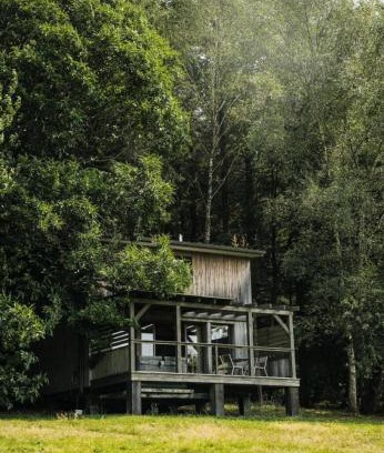 Palazinges Apartment | Gîte de France Armand 4 épis - Gîte de France 4 personnes MAE-1511
