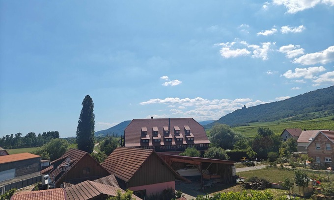Dieffenthal Apartment | Gîte FAMILLE 3* for 2/4/6 people (4 adults + possibility 2 children)