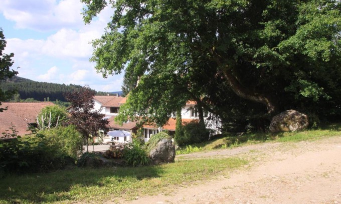Ban-sur-Meurthe-Clefcy House | Gîte Le Tyrol