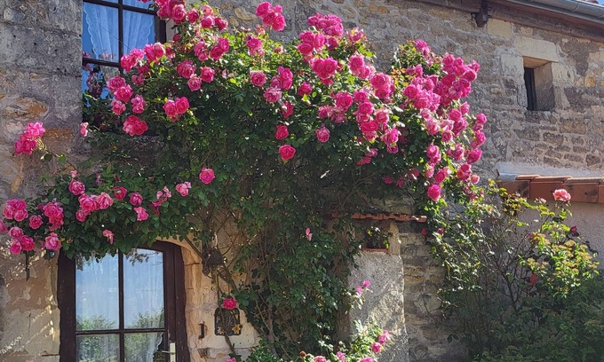 Doue-en-Anjou House | Gîte les Roses sleeps 2/4