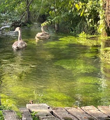 Gasny Apartment | Gîte pieds dans l Epte prêt de Giverny