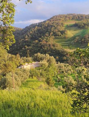 Bouchfaa House | Gîte sanhaji tazekka