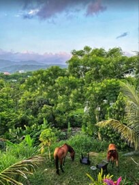 Vilomar Apartment | #G Las Tres Tortugas in Luquillo