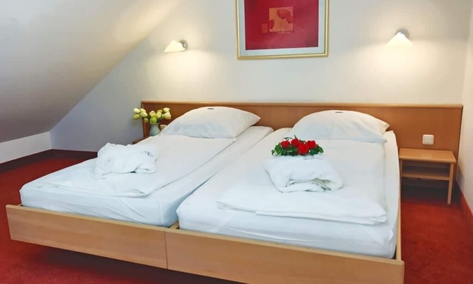Neualbenreuth Apartment | Gallery apartment with fully equipped kitchen