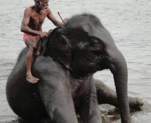 Thodakayam House | Ganesha Homestay