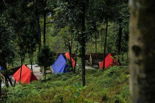 Gangtok Other | Gangtok View Camping
