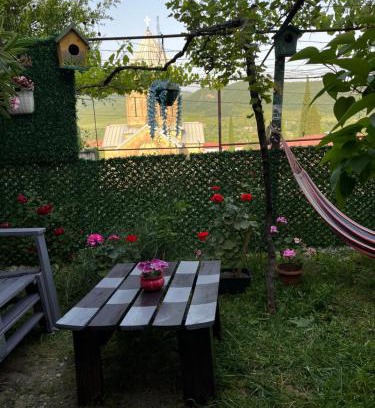 Mtskheta House | garden and panorama