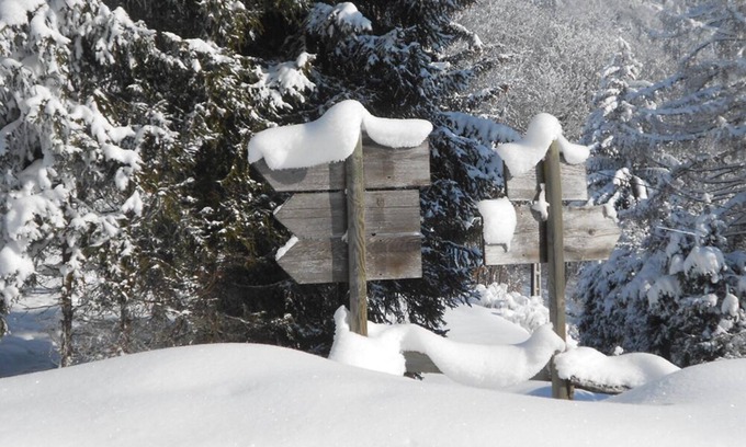 Servoz Apartment | Garden charming appartment, in front of Mont Blanc range