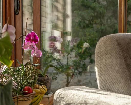 Tirana House | Garden Guest House
