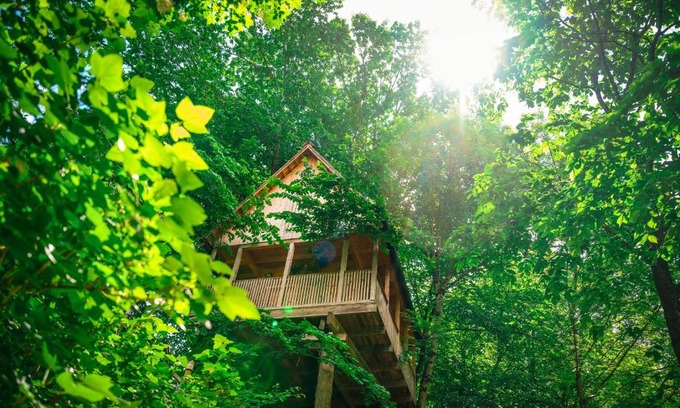 Bled Other | Garden Village Bled