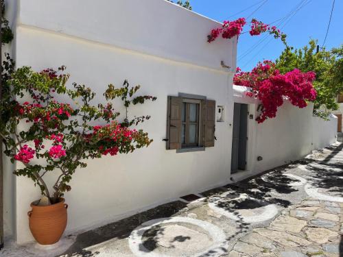 Pythagorio House | Garden Village House in Pythagorio-Hora, Samos Island