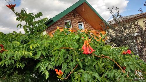 Tbilisi House | Gast Haus BAVARIA