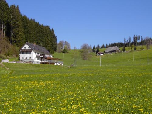 Schwarzenbach House | Gasthaus Pension Donishäusle