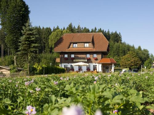 Waldau House | Gasthaus Schweizerhof