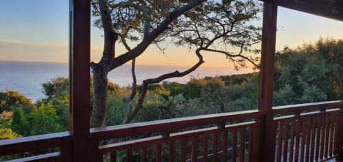 Blue Horizon Bay House | Gazania Cottage